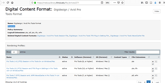 Screenshot of Example record from the Digital Content Format Registry 